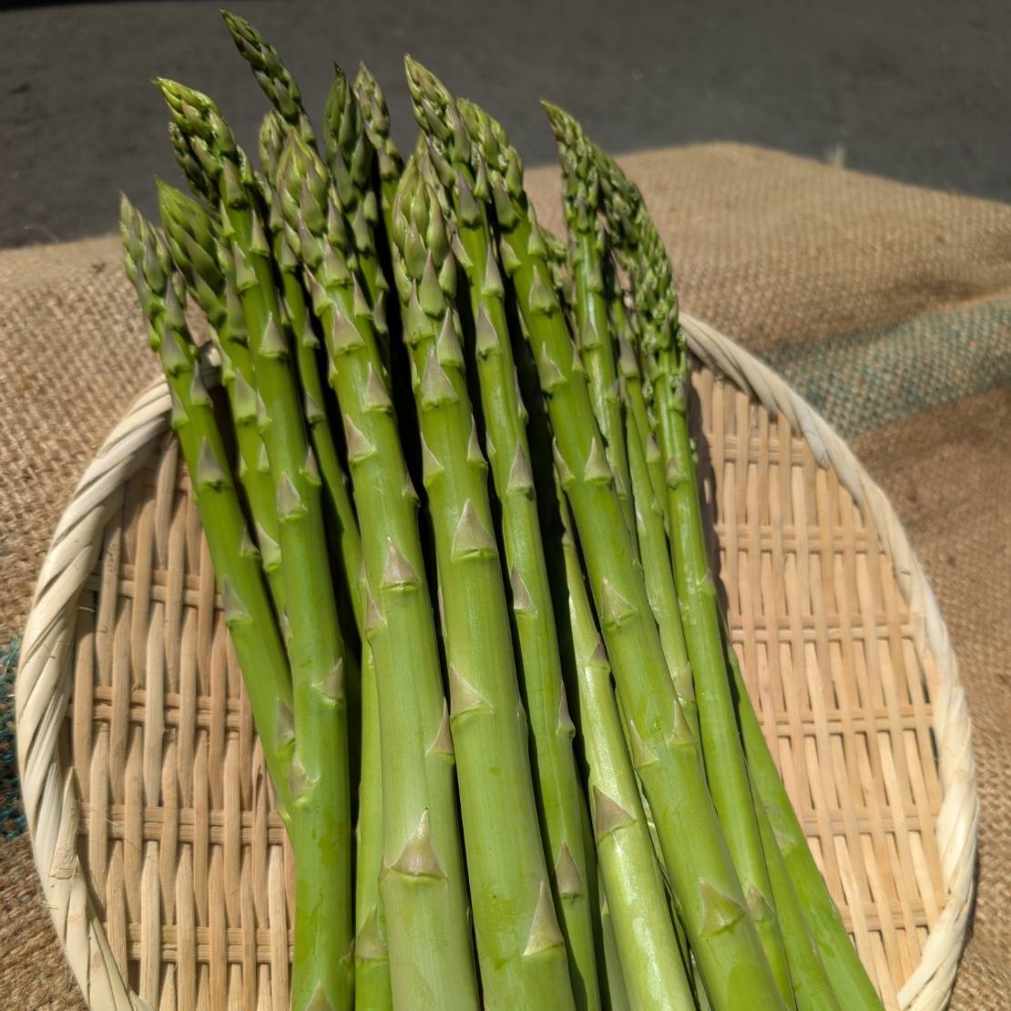 アスパラガス