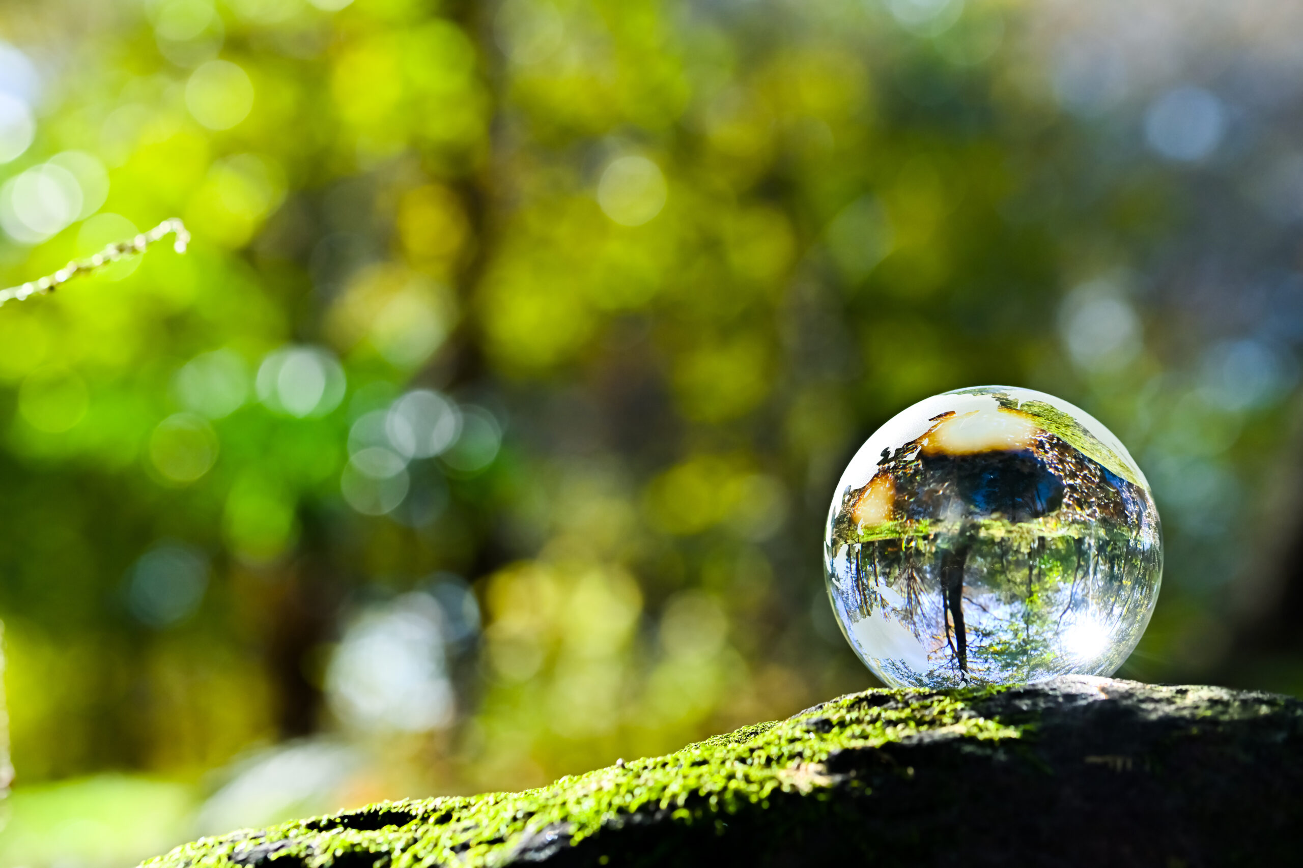 自然と育てる、やさしい栽培