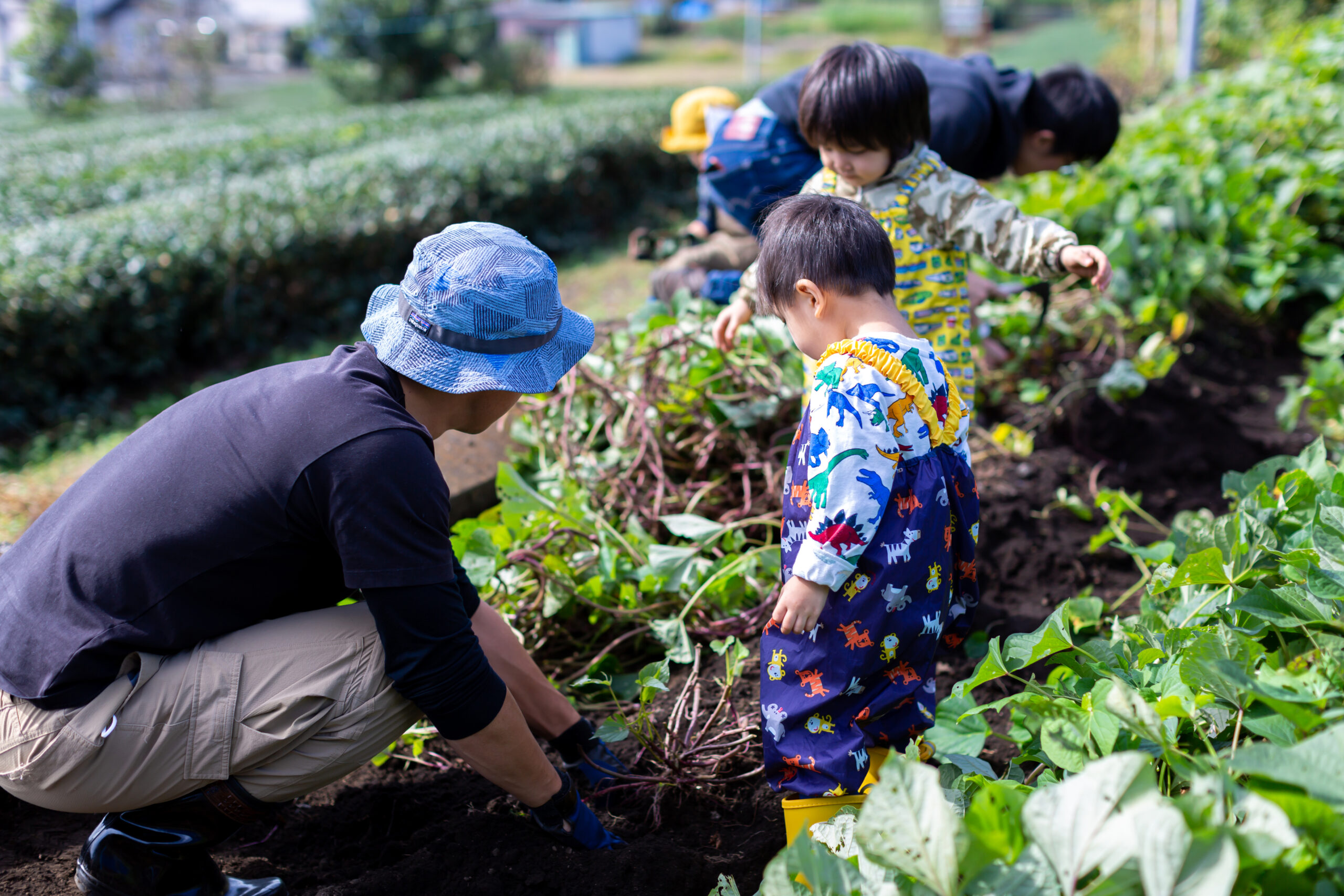 続けられる農業を、次世代へ
