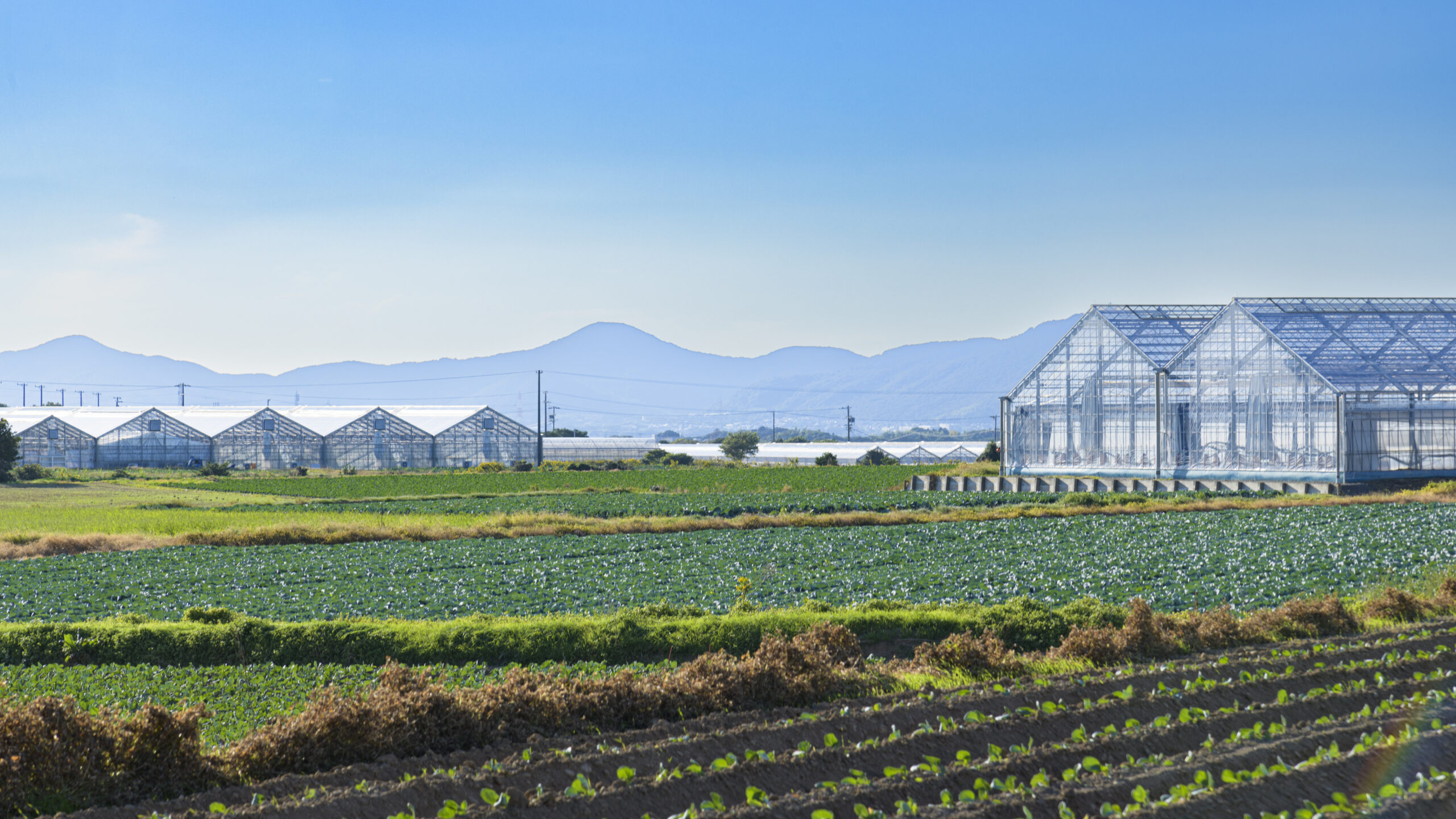 未来につながる、やさしい農業
